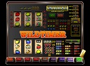 Wild Timer